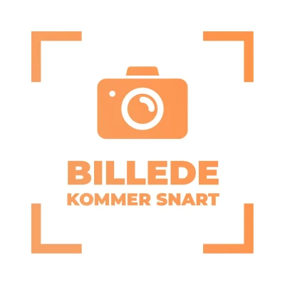 Ignite Bold Dekoration für Elektro Kamin bestellen Ignite Bold Dekoration für Elektro Kamin